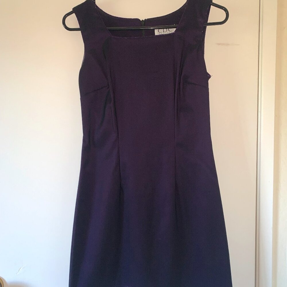 CDC Vintage Metalic purple dress - Size 2